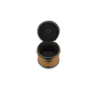 Сумка Louis Vuitton Cannes коричневая