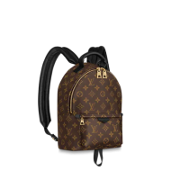 Рюкзак Louis Vuitton Palm Springs pm коричневый