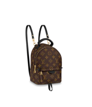 Рюкзак Louis Vuitton Palm Springs mini коричневый