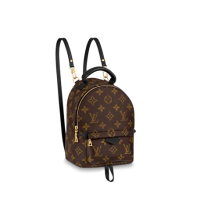 Рюкзак Louis Vuitton Palm Springs mini коричневый